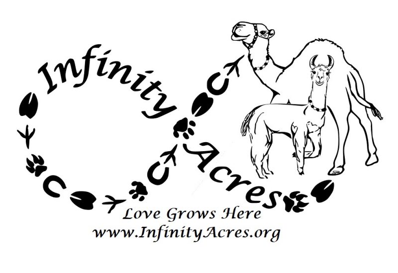 Infinity Acres Ranch logo