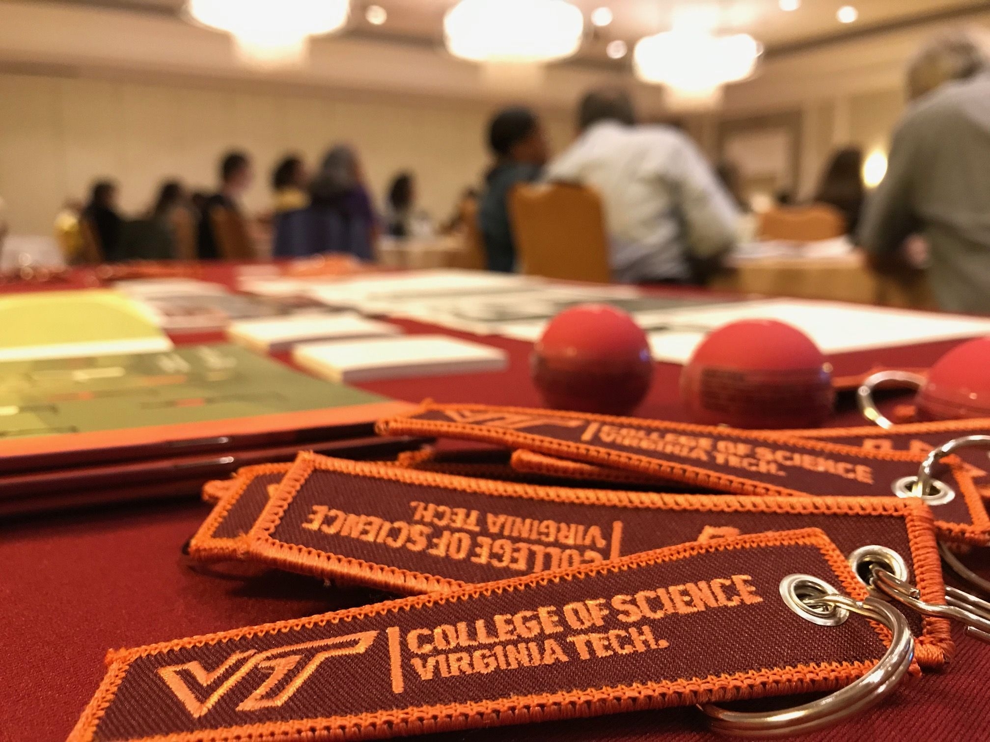 Resources and Support VTCAR table top with flyers
